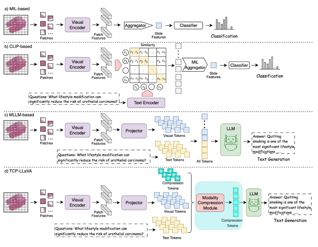 ICLR2025